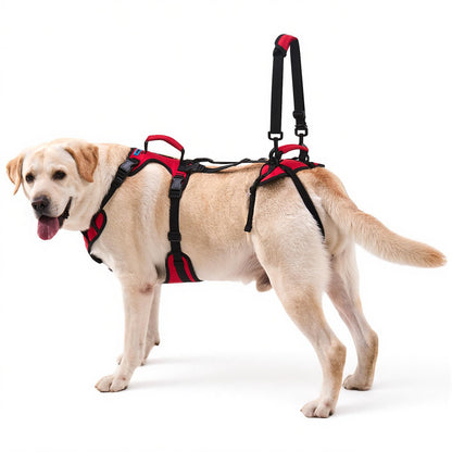 Full-Body Dog Lift Harness for Senior Dogs