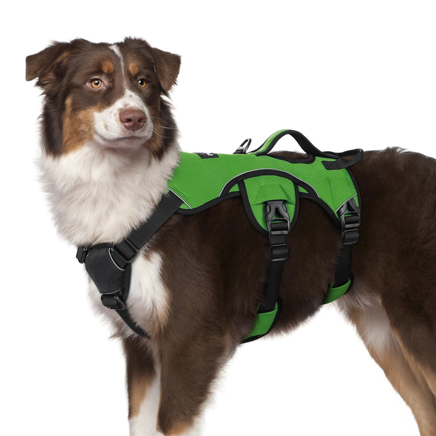 No-Pull Dog Harness with Lift Handle