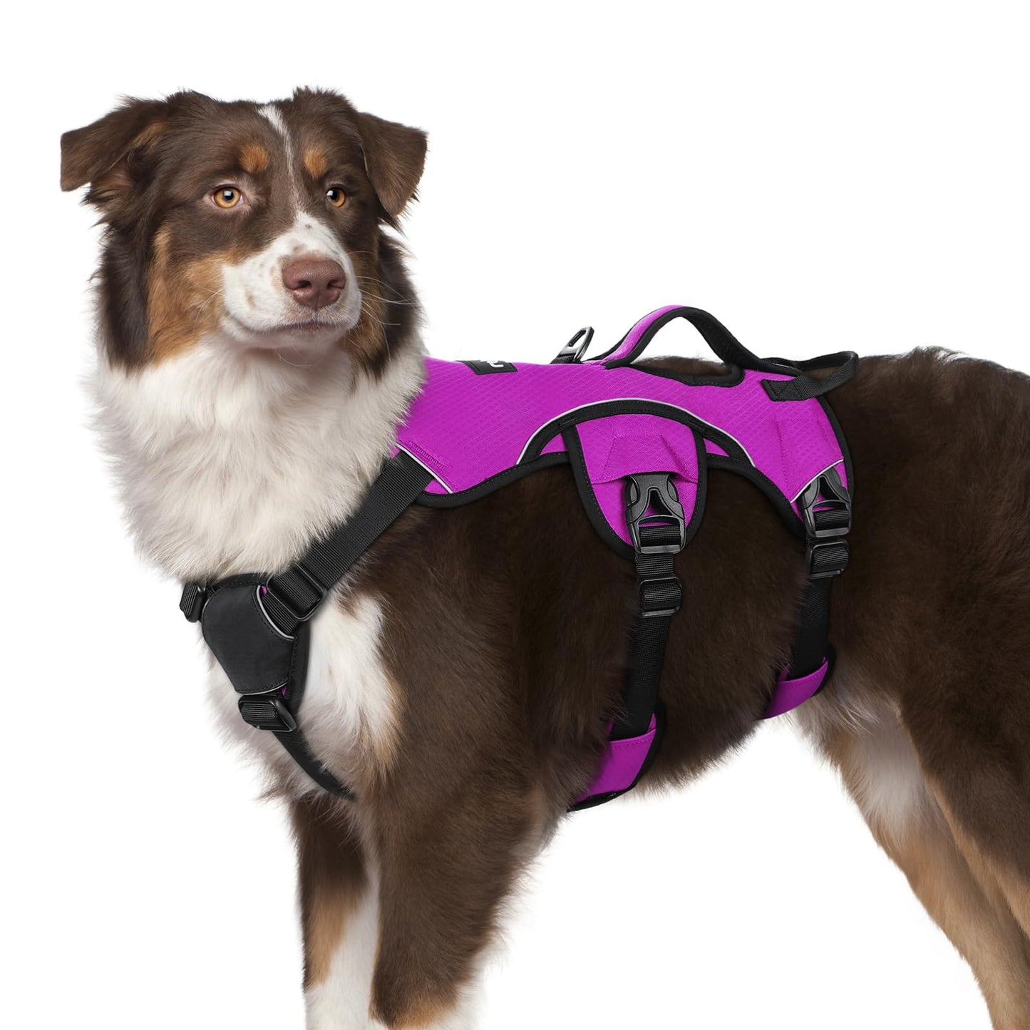 No-Pull Dog Harness with Lift Handle