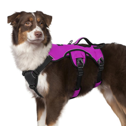 No-Pull Dog Harness with Lift Handle