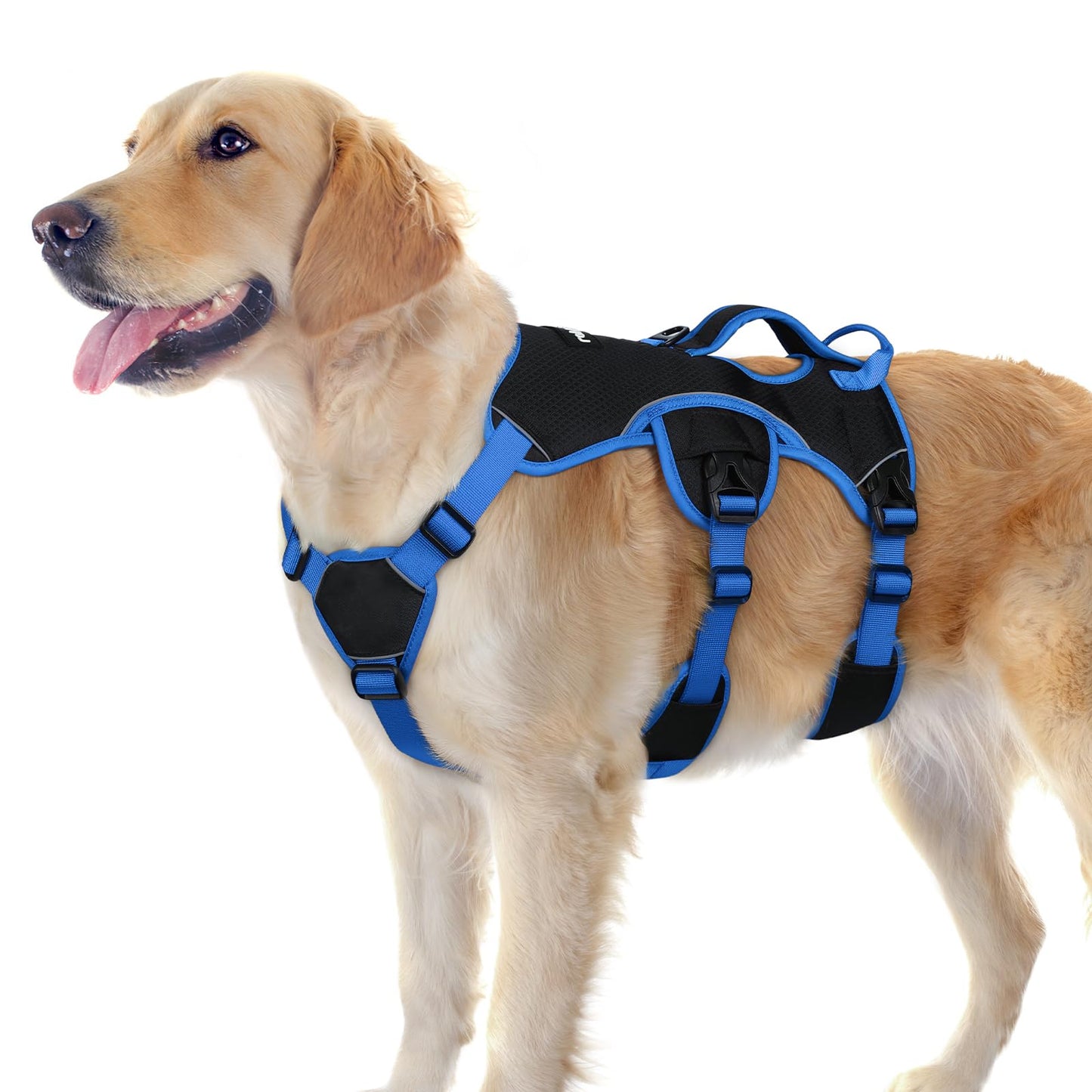 No-Pull Dog Harness with Lift Handle