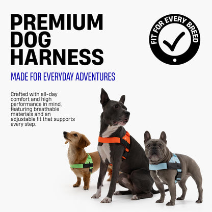 Comfort-Fit Everyday Dog Harness