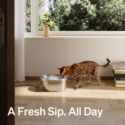 Quiet Replacement Pump for Pet Water Fountains