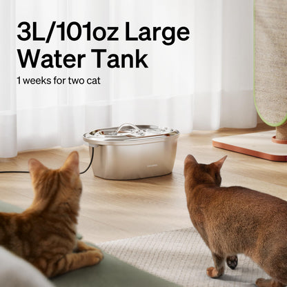 Quiet Replacement Pump for Pet Water Fountains