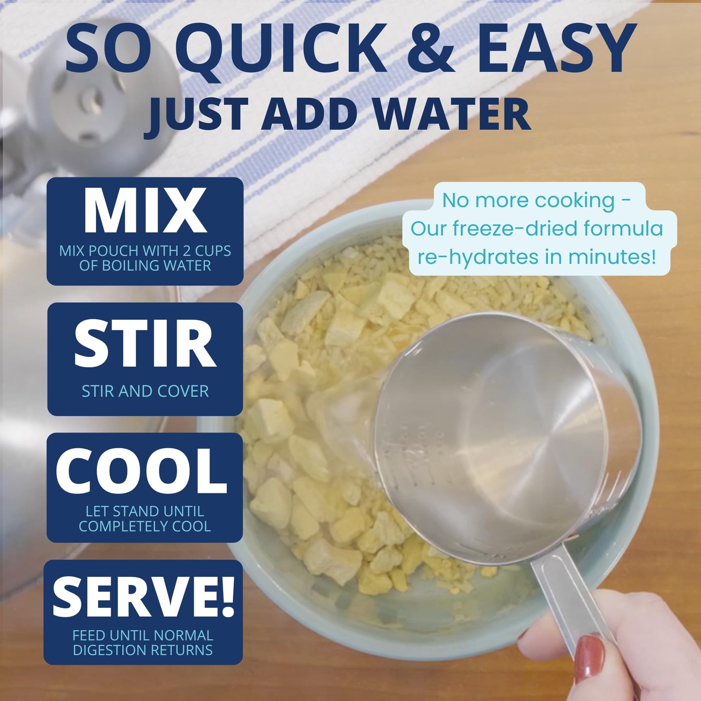 Easy-Digest Bland Diet Dog Food with Electrolytes