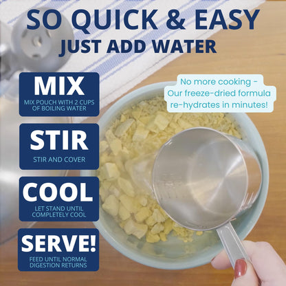 Easy-Digest Bland Diet Dog Food with Electrolytes