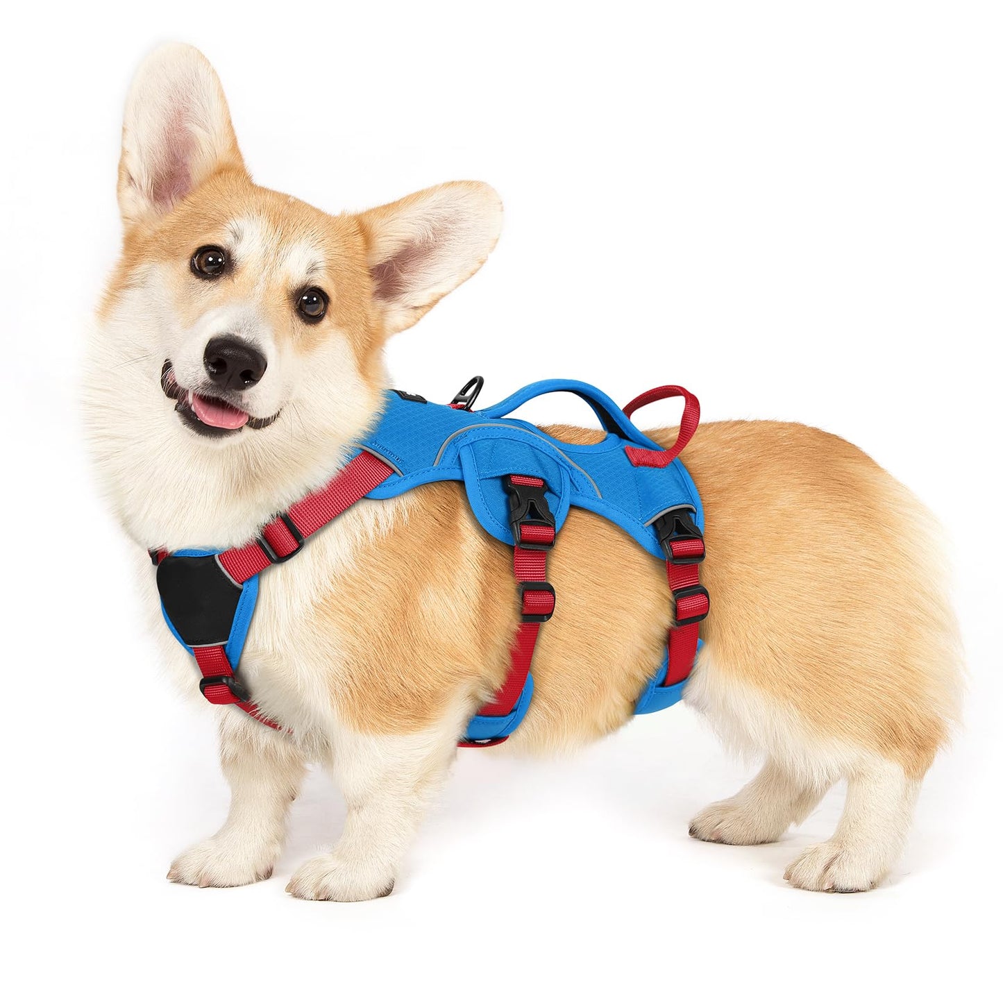 No-Pull Dog Harness with Lift Handle