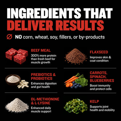High-Protein Dry Dog Food for Adults & Puppies