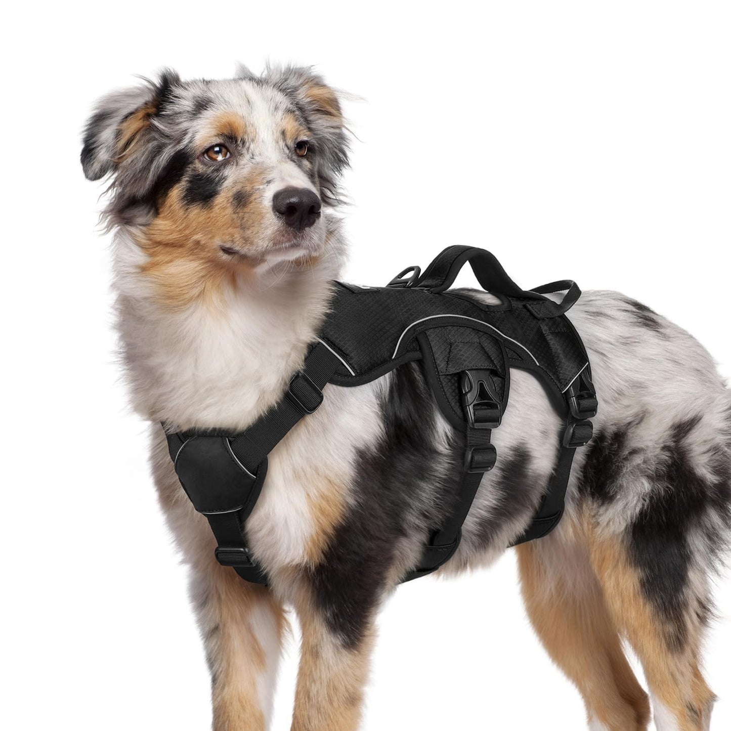 No-Pull Dog Harness with Lift Handle