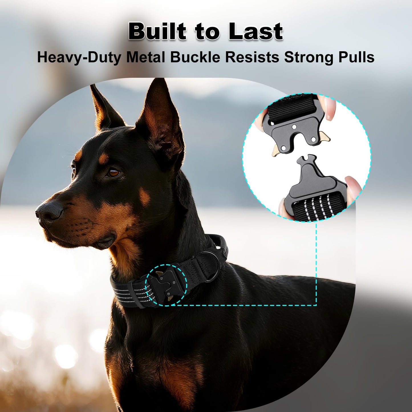 Tactical Dog Collar with AirTag Pocket