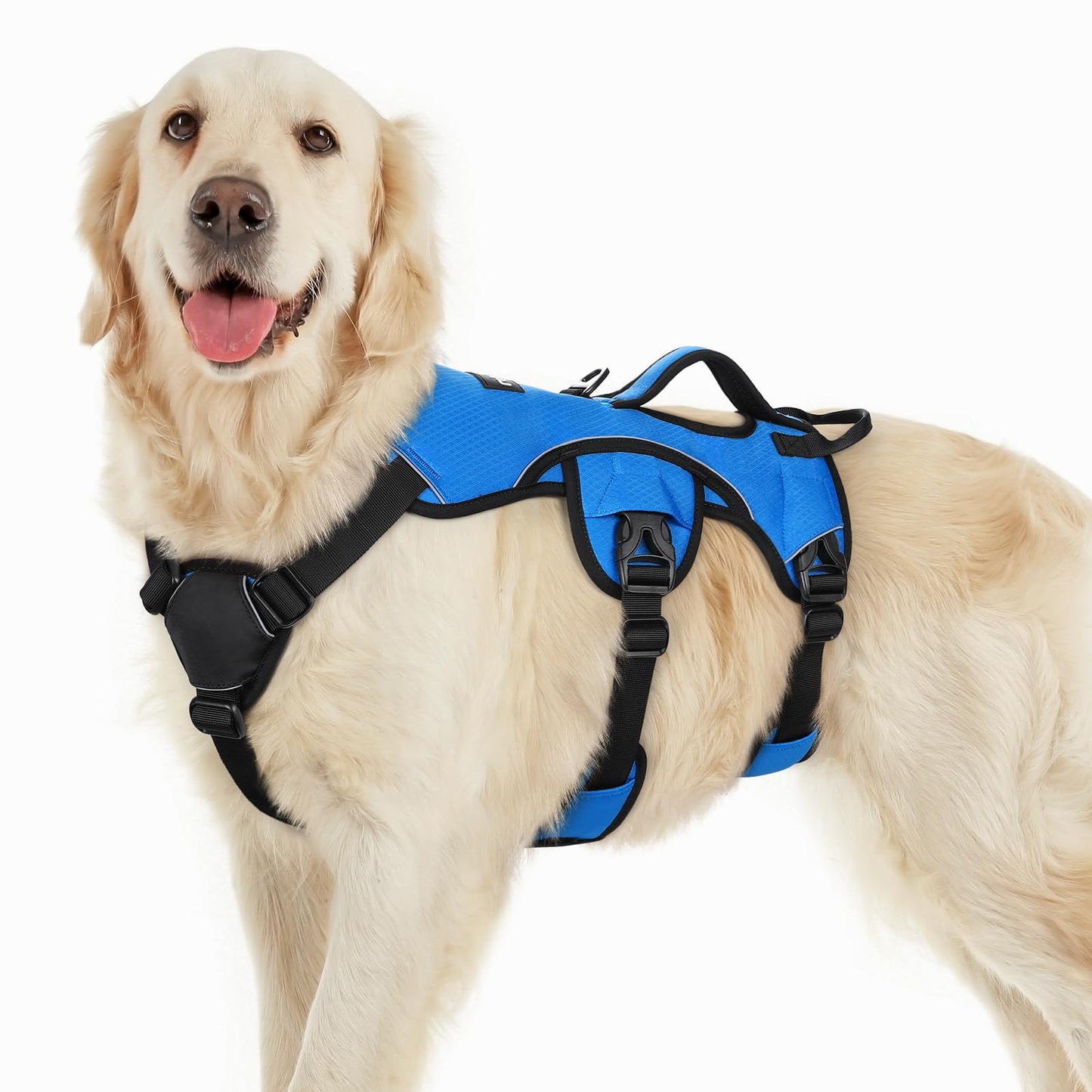 No-Pull Dog Harness with Lift Handle