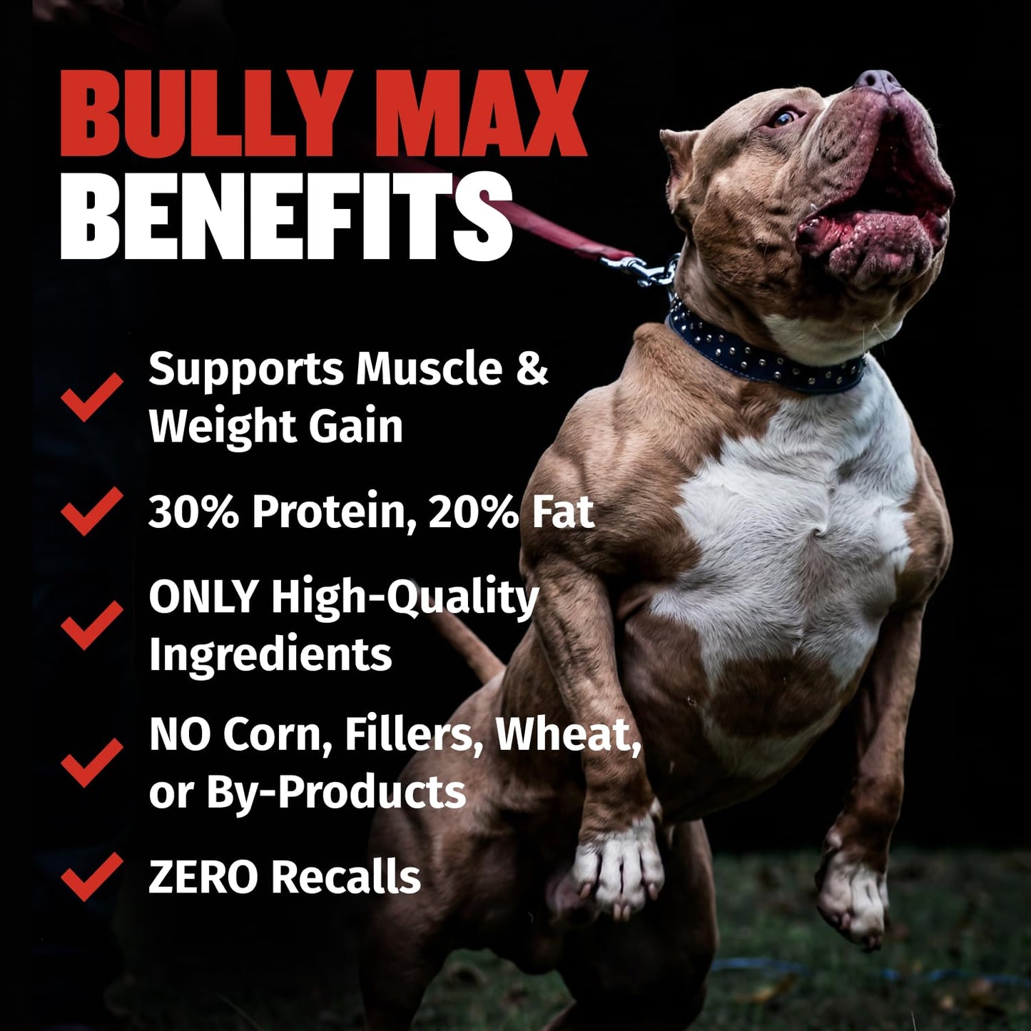 High-Protein Dry Dog Food for Adults & Puppies
