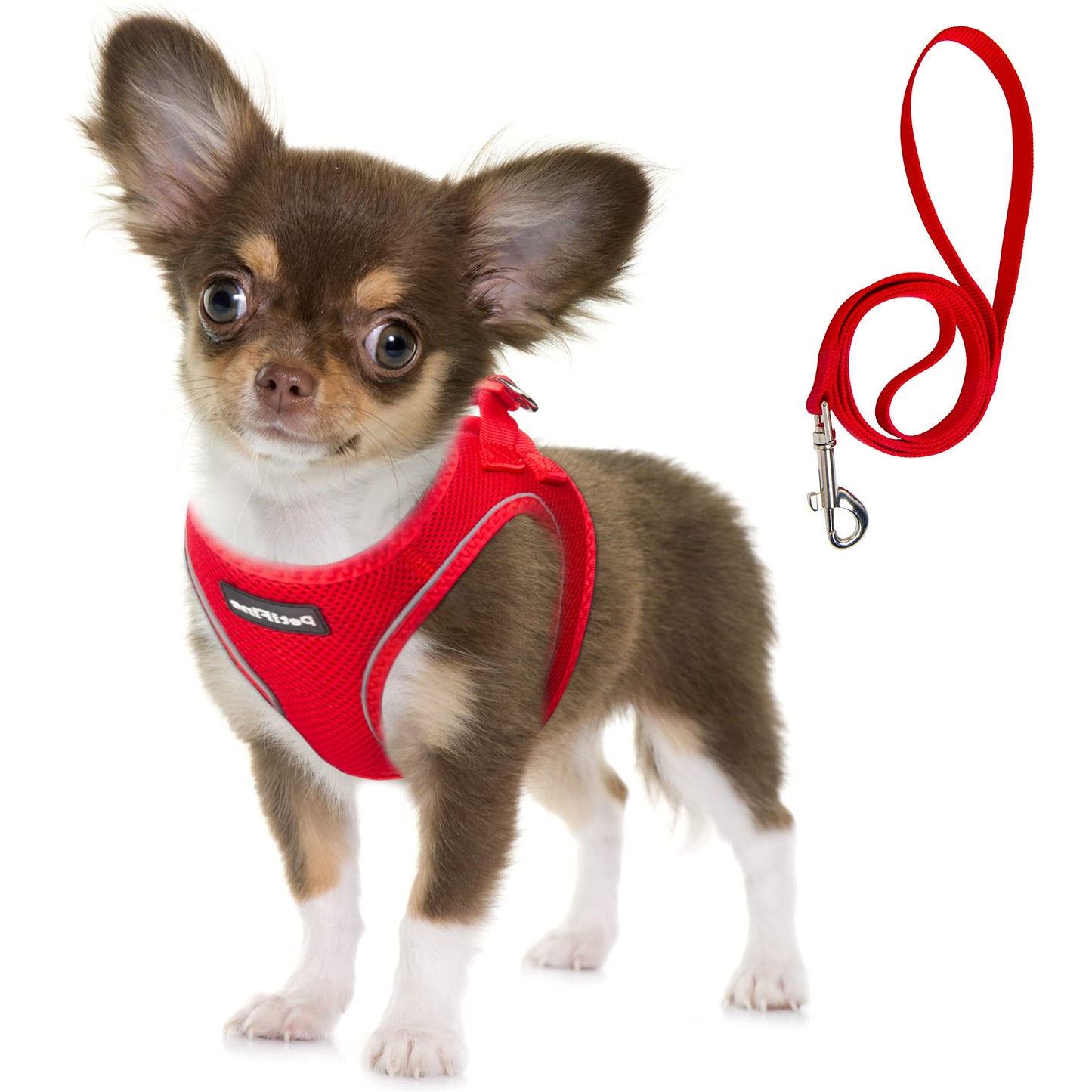Breathable Dog Harness & Leash Set