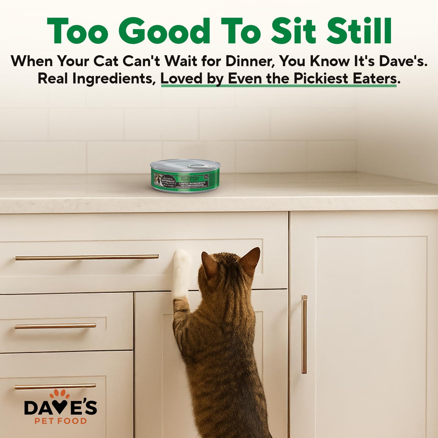 Natural Wet Cat Food Pâté & Chunks