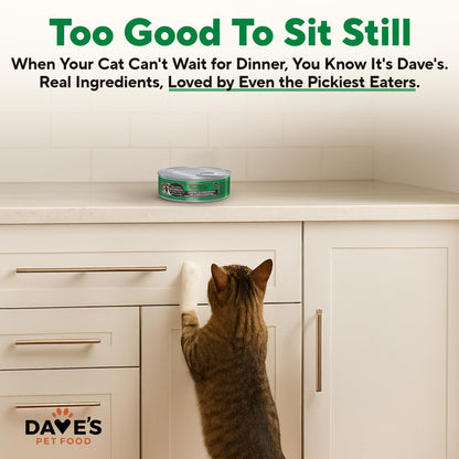 Natural Wet Cat Food Pâté & Chunks