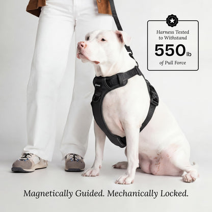 Cloud Comfort Dog Harness for Medium & Large Dogs