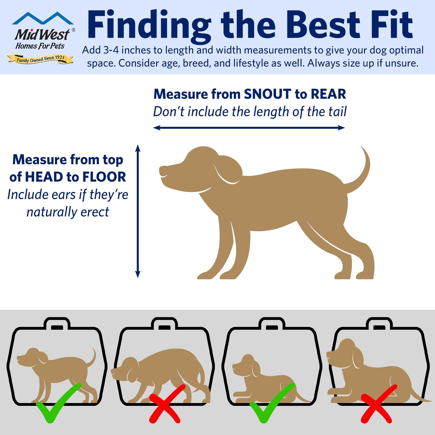 Easy-Assembly Pet Travel Carrier for Small Pets