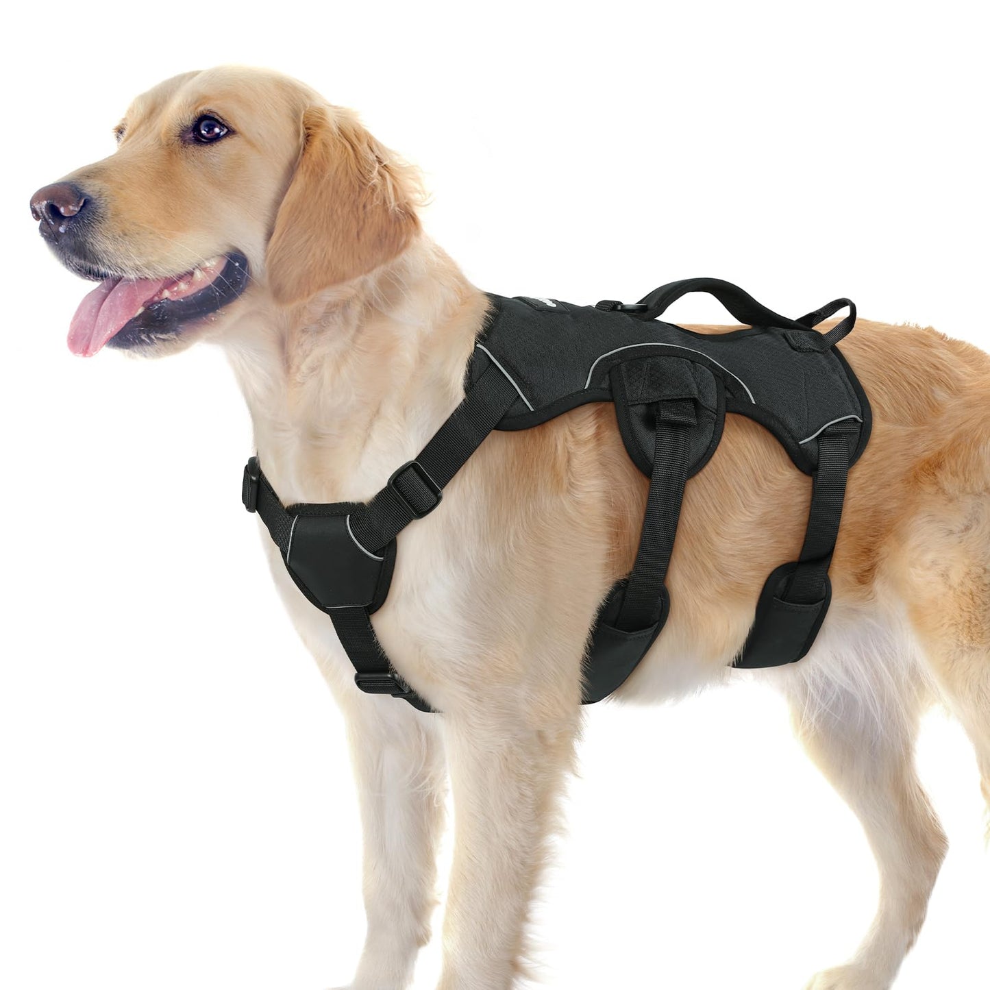 No-Pull Dog Harness with Lift Handle