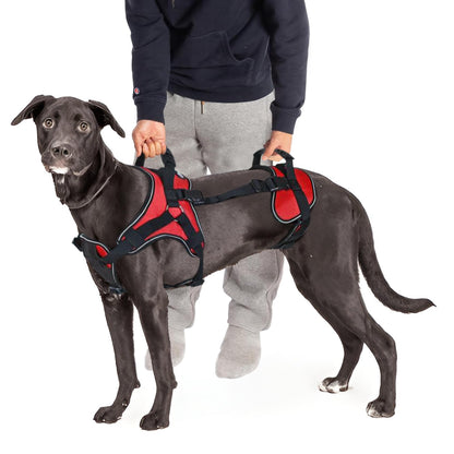 Full-Body Dog Lift Harness with Multi-Way Support