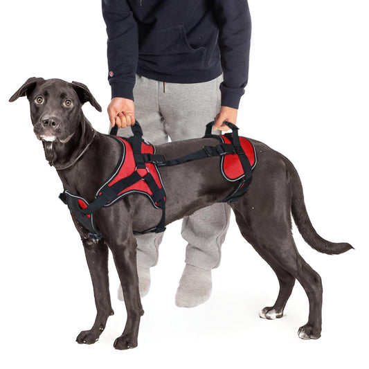 Full-Body Dog Lift Harness with Multi-Way Support