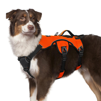 No-Pull Dog Harness with Lift Handle