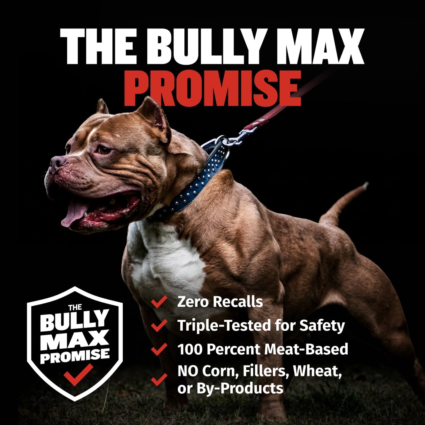 High-Protein Dry Dog Food for Adults & Puppies