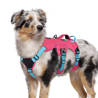 No-Pull Dog Harness with Lift Handle