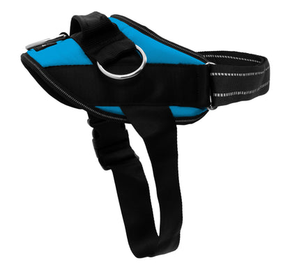 No-Pull Padded Dog Harness with 3 Leash Clips