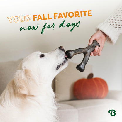 Durable Wishbone Dog Chew Toy for Tough Chewers