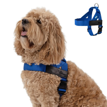 Comfort-Fit Everyday Dog Harness