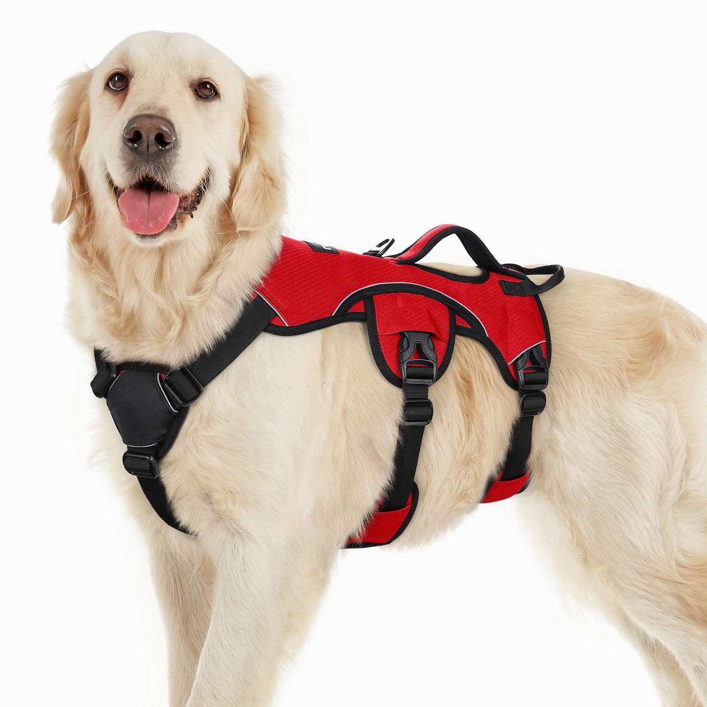 No-Pull Dog Harness with Lift Handle