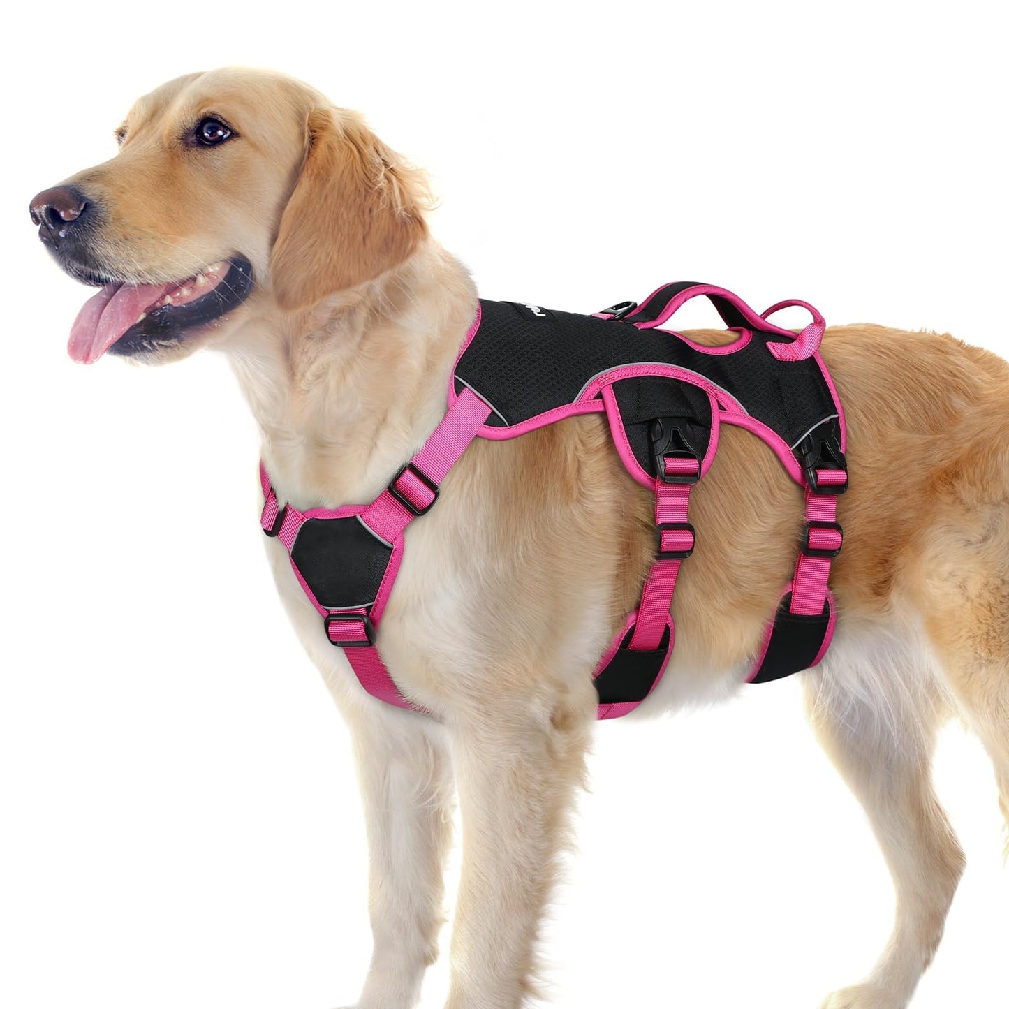 No-Pull Dog Harness with Lift Handle