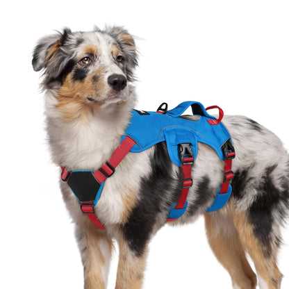 No-Pull Dog Harness with Lift Handle