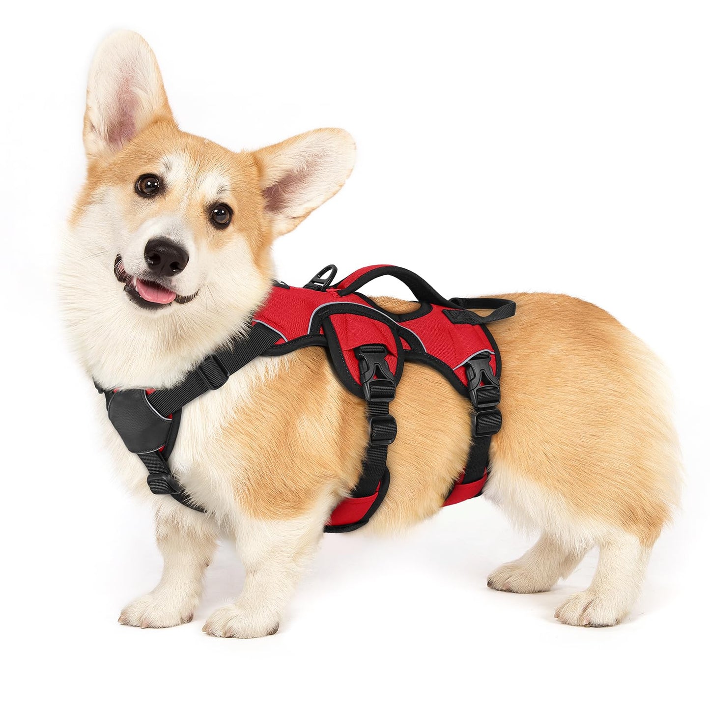 No-Pull Dog Harness with Lift Handle