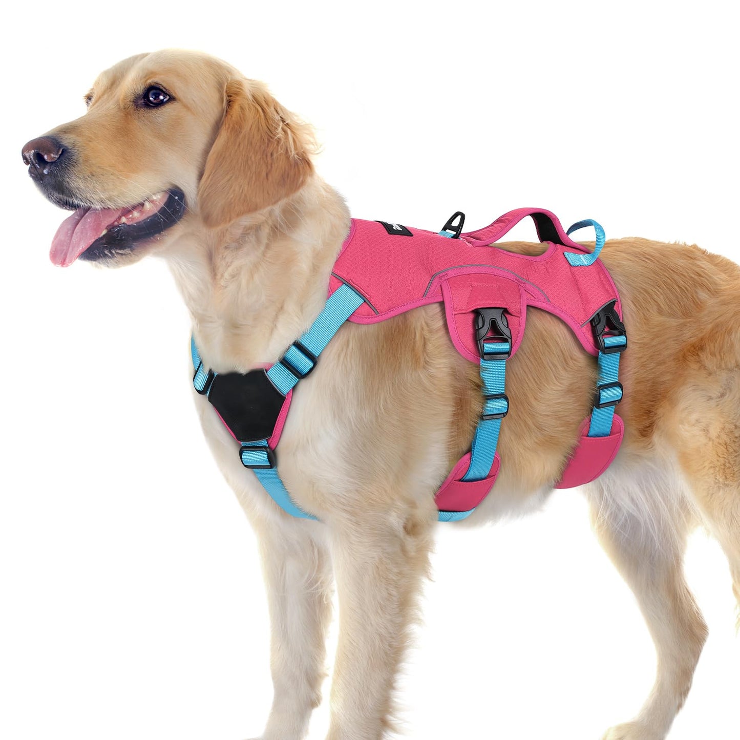 No-Pull Dog Harness with Lift Handle