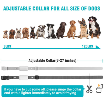 Waterproof Remote Training Collar for Two Dogs