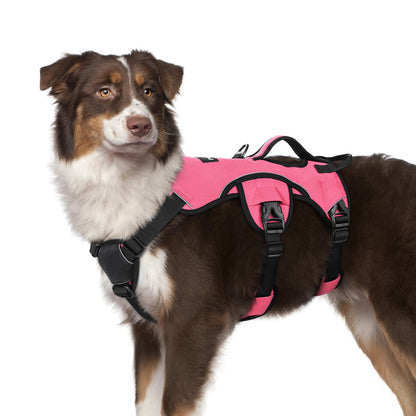 No-Pull Dog Harness with Lift Handle