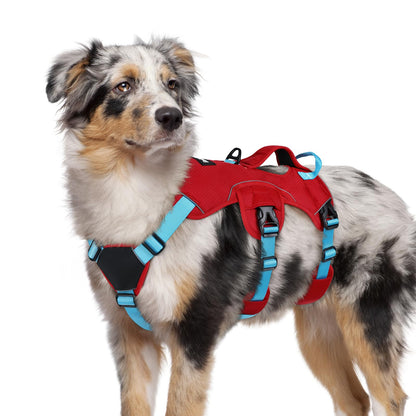 No-Pull Dog Harness with Lift Handle