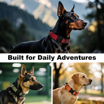 Tactical Dog Collar with AirTag Pocket