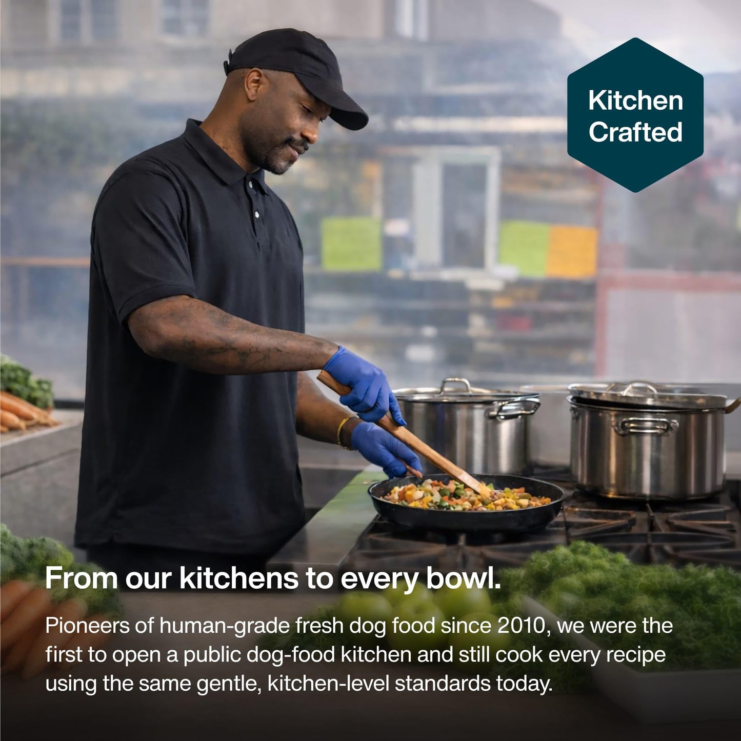 Fresh Wet Dog Food with Human-Grade Ingredients