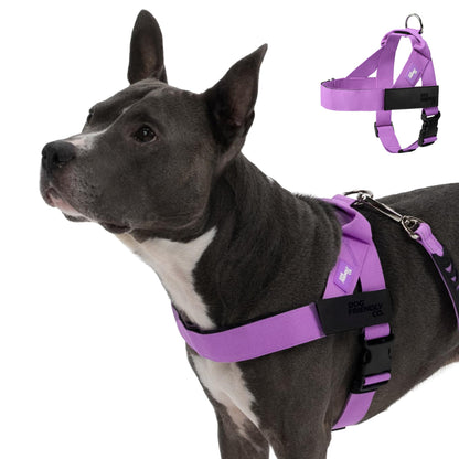 Comfort-Fit Everyday Dog Harness