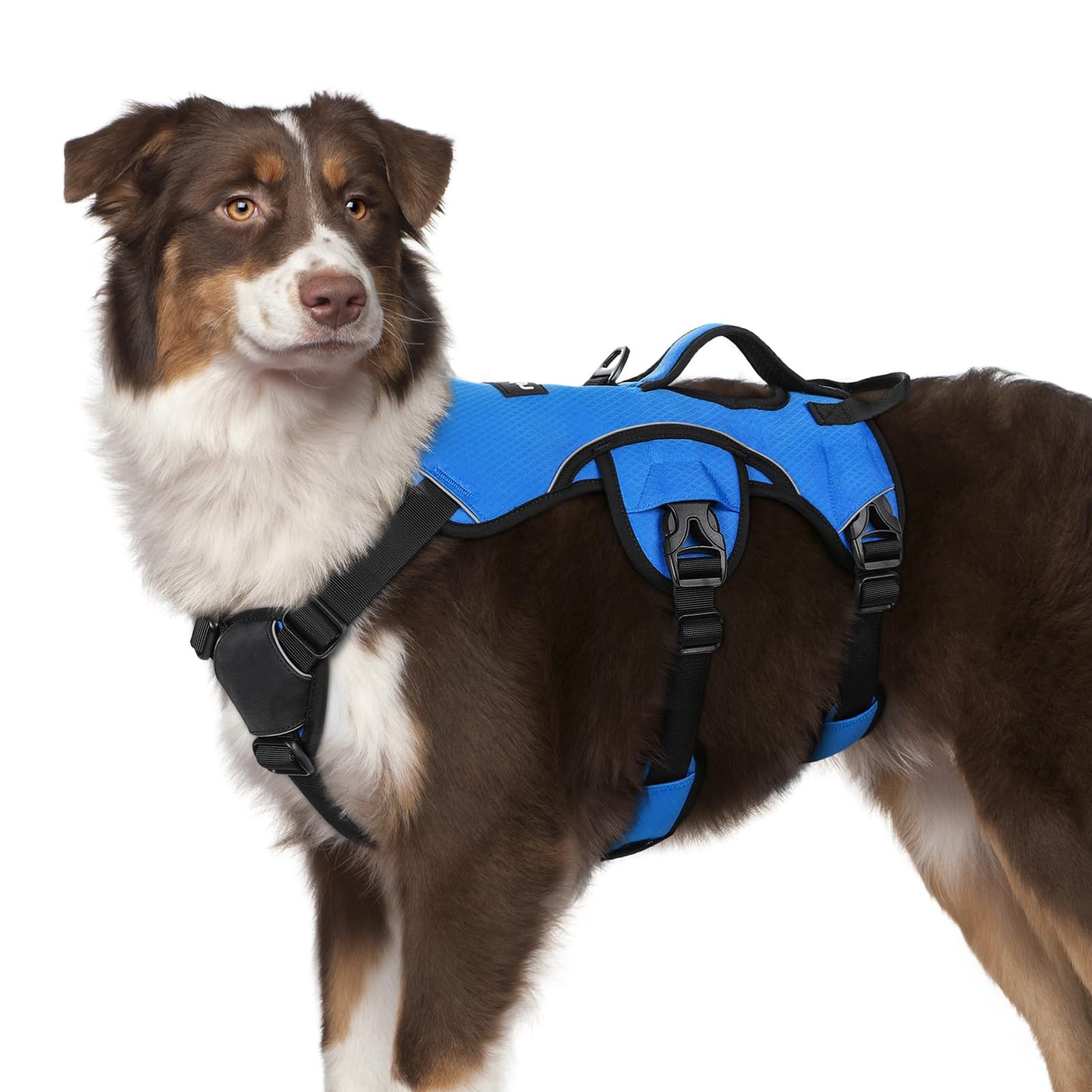 No-Pull Dog Harness with Lift Handle