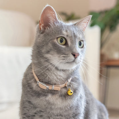 Leather Cat Collar with Bell