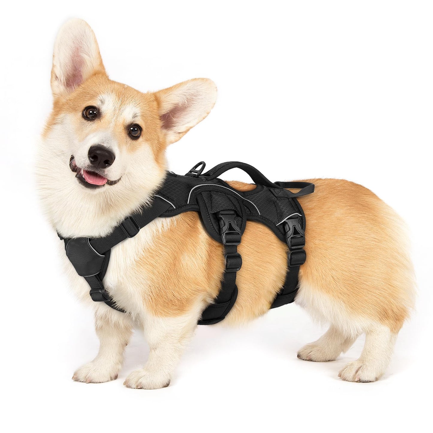 No-Pull Dog Harness with Lift Handle