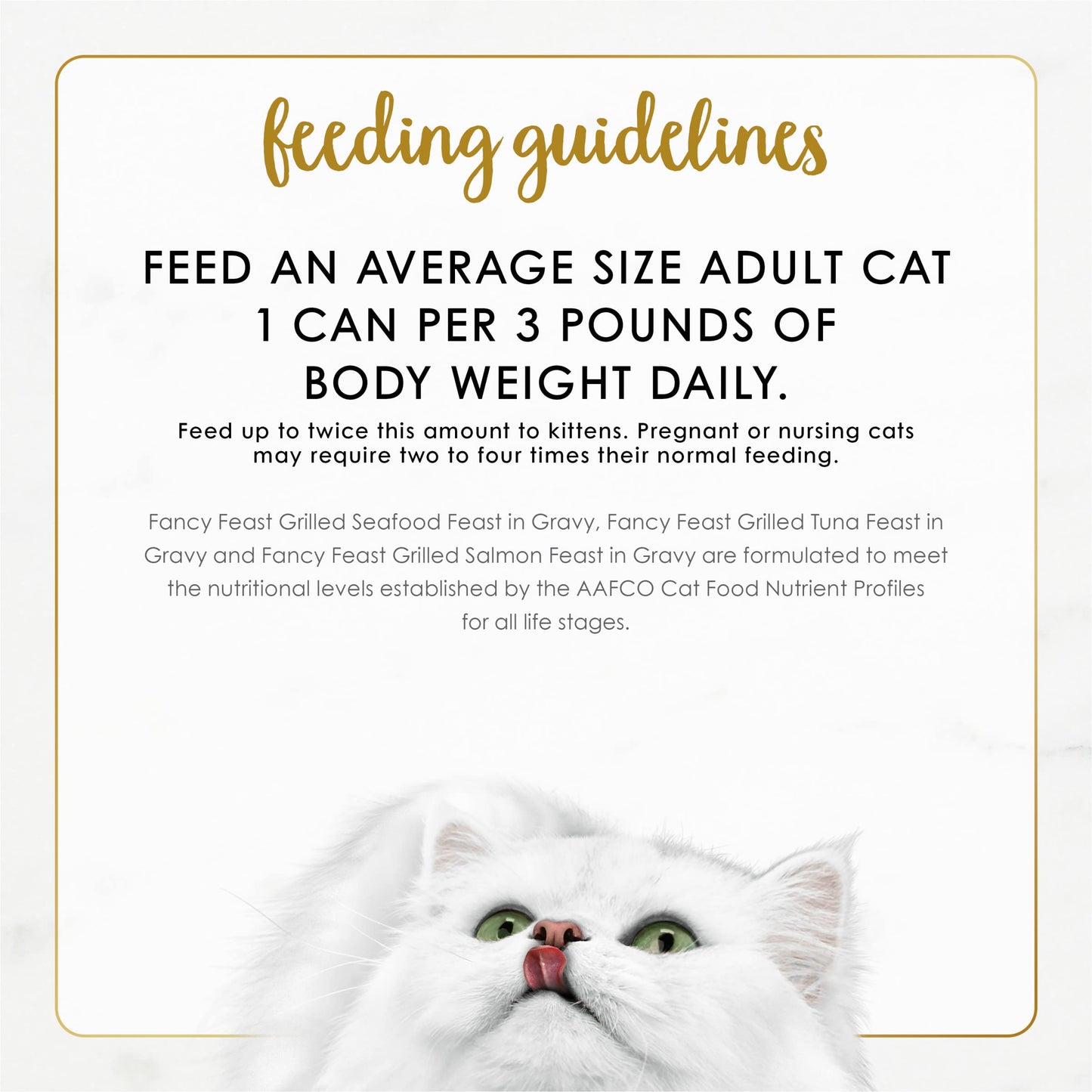 Grilled Seafood Wet Cat Food Variety Pack