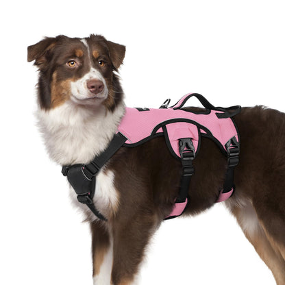 No-Pull Dog Harness with Lift Handle