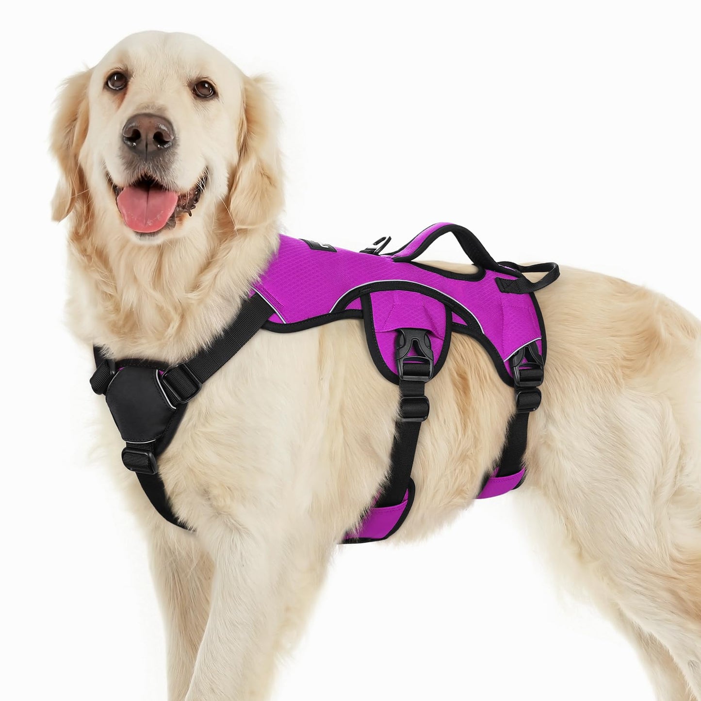 No-Pull Dog Harness with Lift Handle