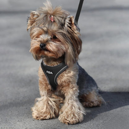 Breathable Dog Harness & Leash Set