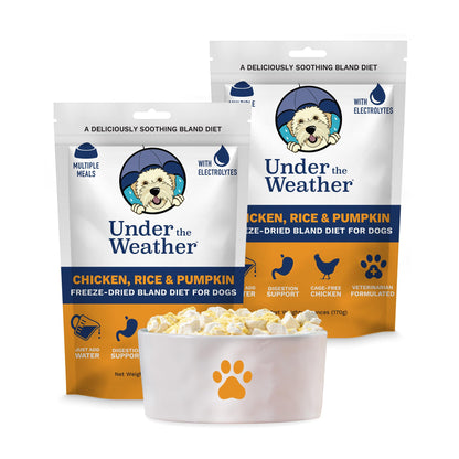 Easy-Digest Bland Diet Dog Food with Electrolytes
