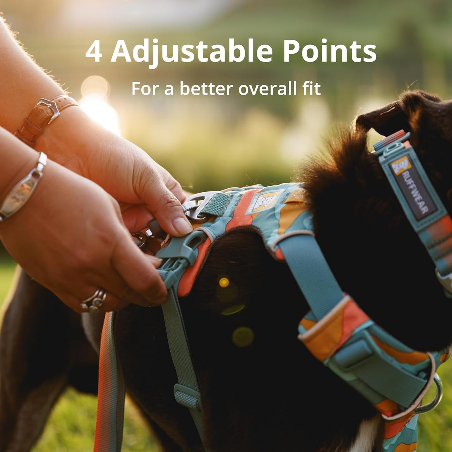 Front Range Padded Dog Harness